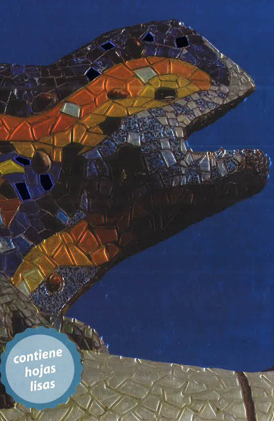 Gaudi Parc Guell 39L
