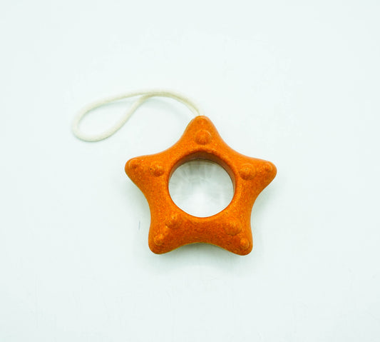 Starfish Kaleidoscope