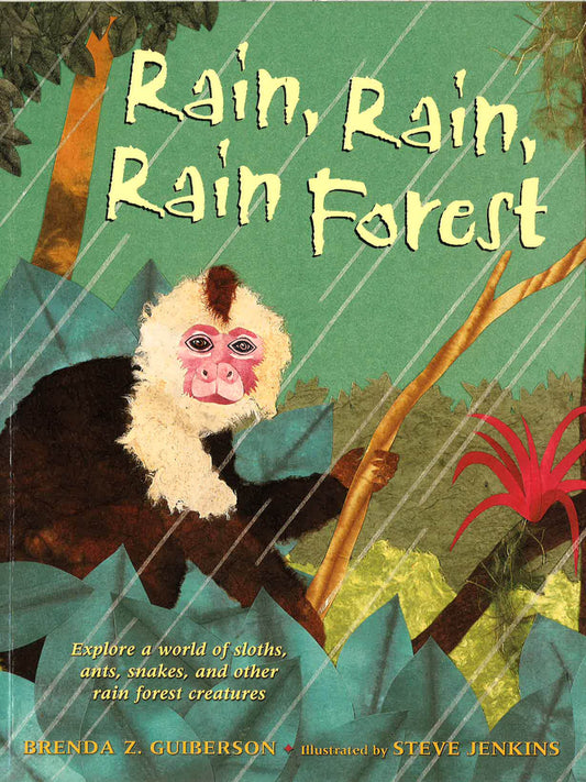 Rain Rain Rain Forest