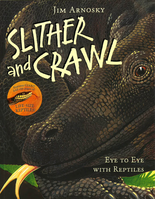Slither And Crawl: Eye To Eye With Reptiles