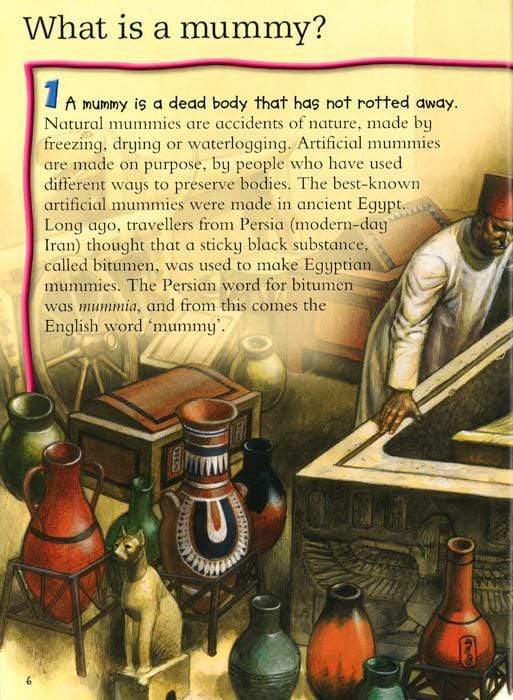 100 Facts Mummies