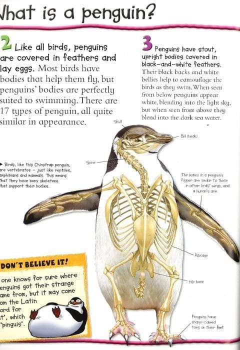 100 Facts Penguins