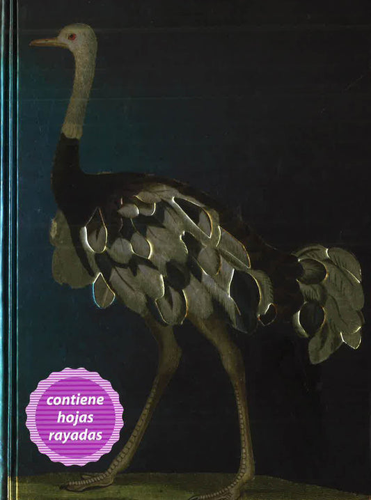 Birds (Blank Notebook)