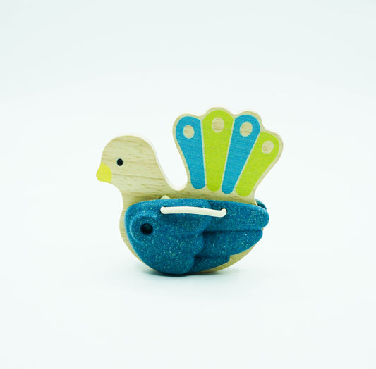 Bird Percussion – Peacock