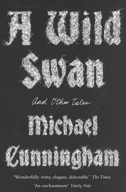 A Wild Swan: And Other Tales