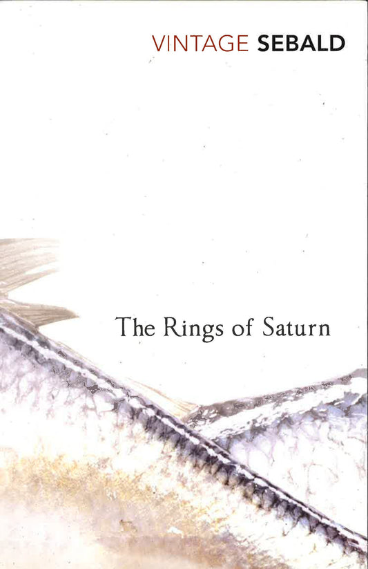 The Rings Of Saturn