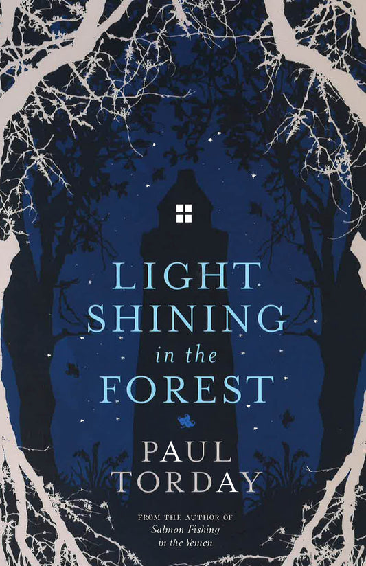 Light Shining In The Forest