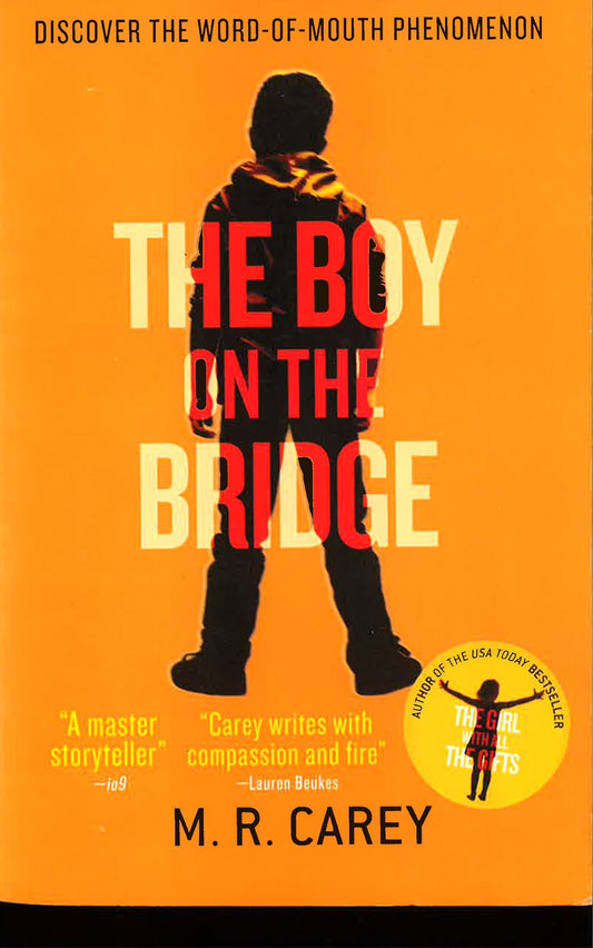 The Boy On The Bridge