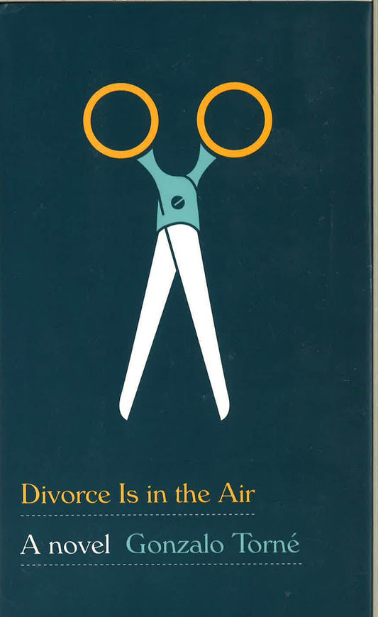 Divorce Is In The Air: A Novel