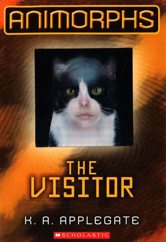 The Visitor