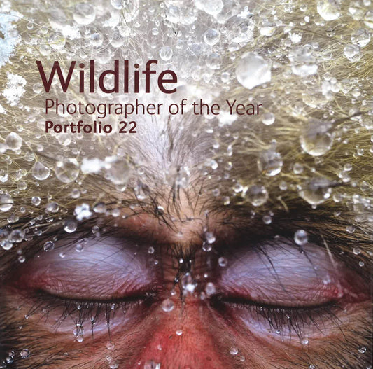 Wildlife Portfolio 22