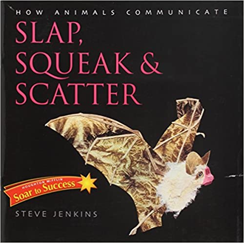 Houghton Mifflin Reading Intervention