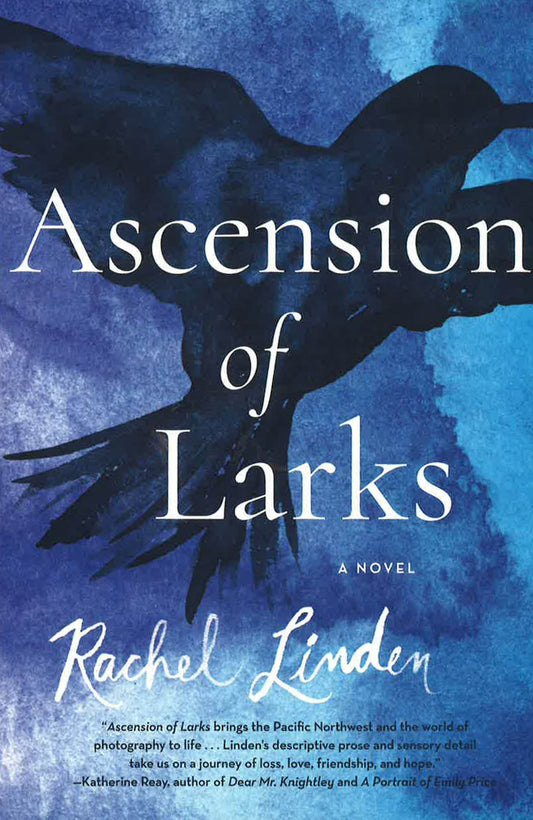 Ascension Of Larks