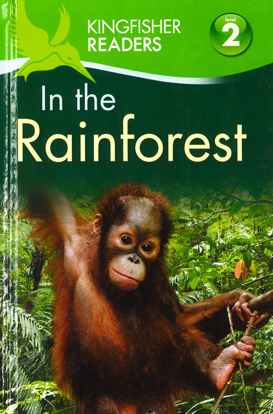 In The Rainforest