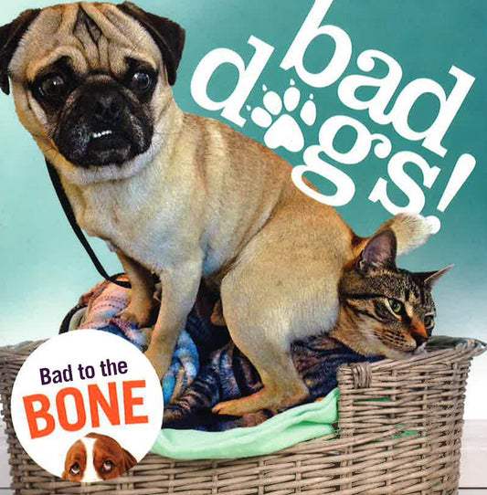 Bad Dogs