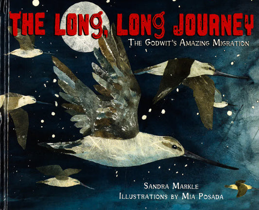 The Long, Long Journey