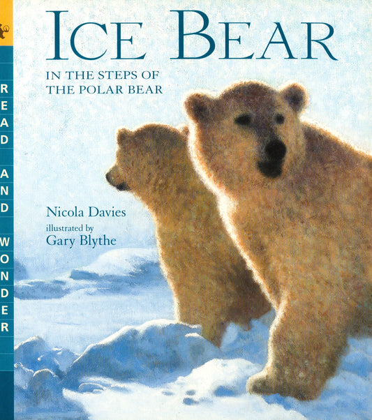 Ice Bear