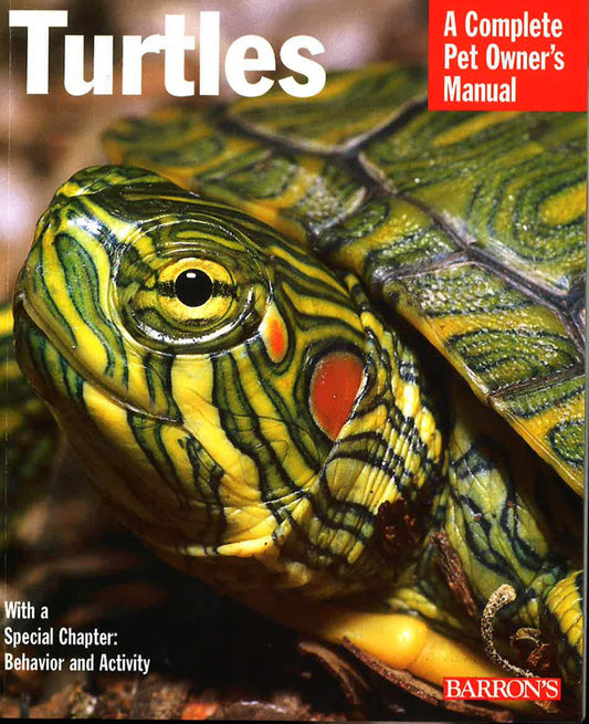 Turtles : Everything About Purchasecarenutrition
