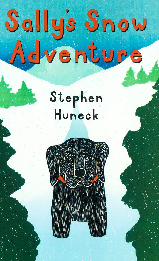 Sally Snow Adventure (Hb)