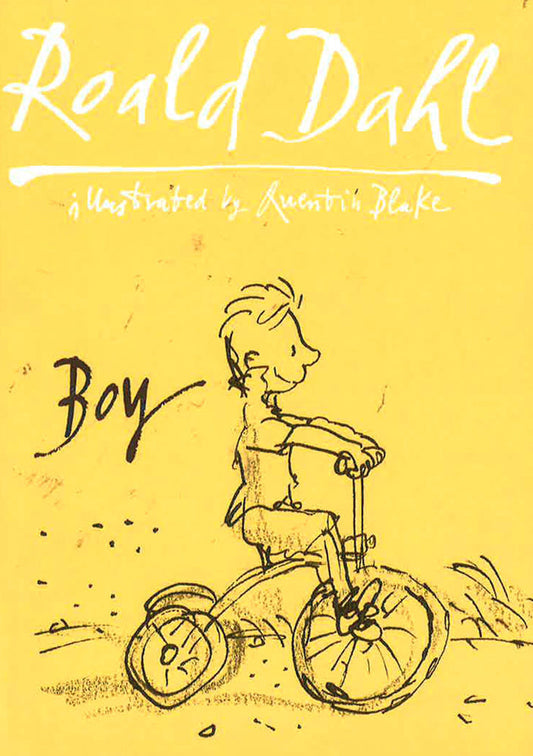 Boy: Tales Of Childhood: Autobiography