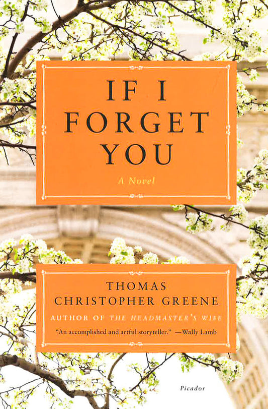 If I Forget You