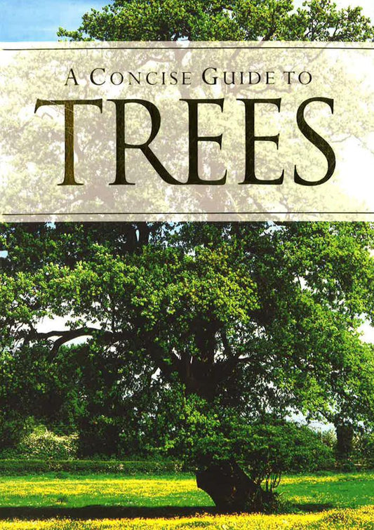 A Concise Guide To Trees
