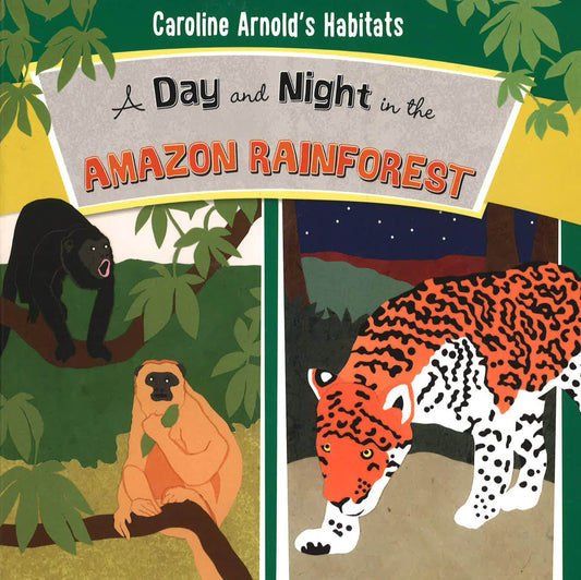 Day And Night In The Amazon Rainforest