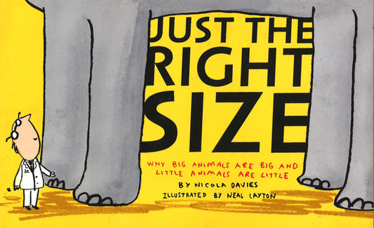 Just The Right Size
