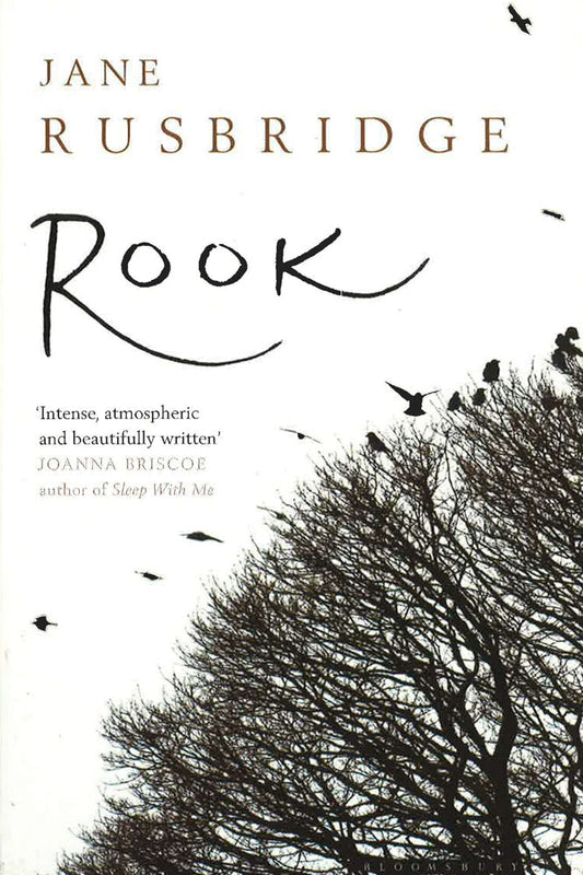 Rook - B Format