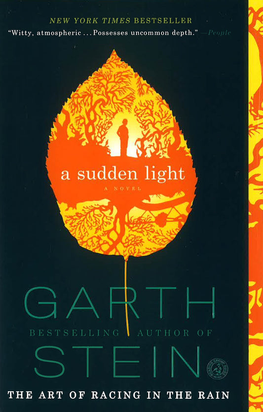 A Sudden Light
