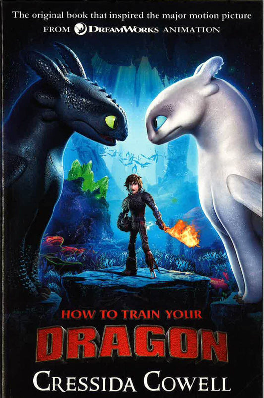 How To Train Your Dragon #1