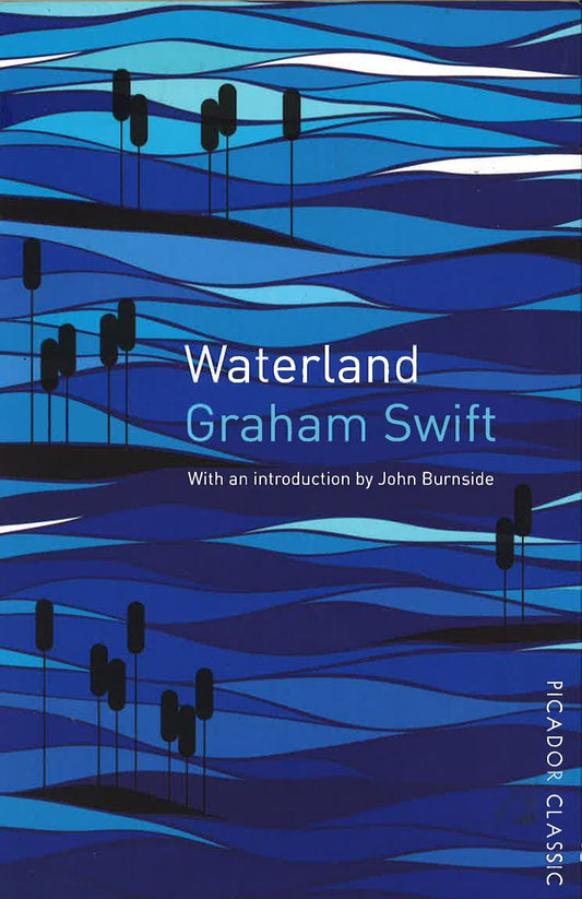 Waterland: Picador Classic