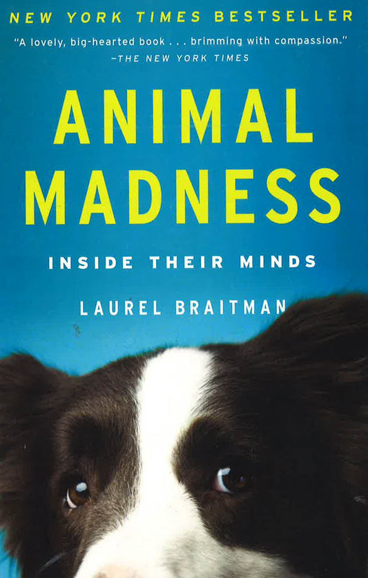 Animal Madness: Inside Their Minds