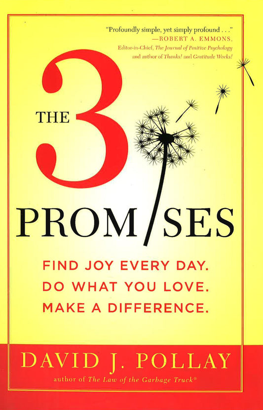 The 3 Promises (Hb)