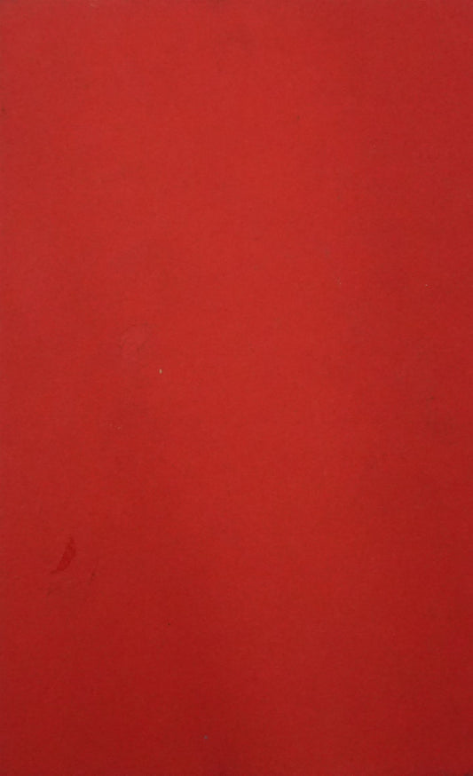 Maggot Moon (Slipcase)