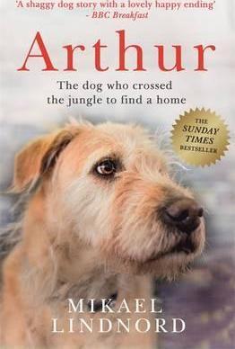 Arthur: The Dog Who Crossed The Jungle To Find A Home
