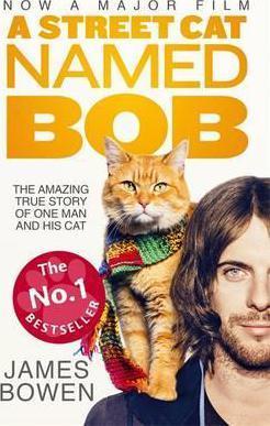 A Street Cat Named Bob : How One Man And His Cat Found Hope On The Streets