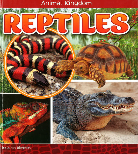 Reptiles