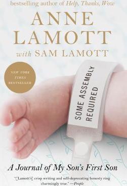 Some Assembly Required: A Journal of My Son's First Son