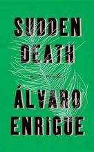 Sudden Death( A Novel