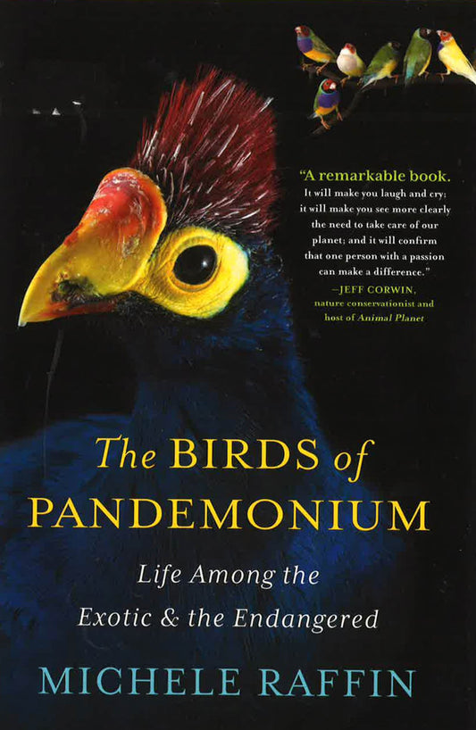 Birds Of Pandemonium