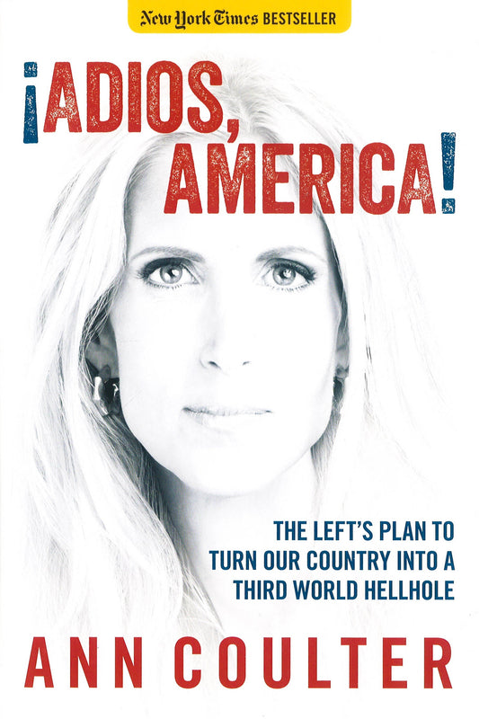Adios America