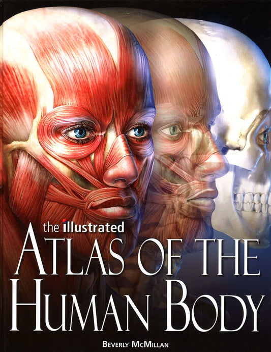 Atlas Of The Human Body