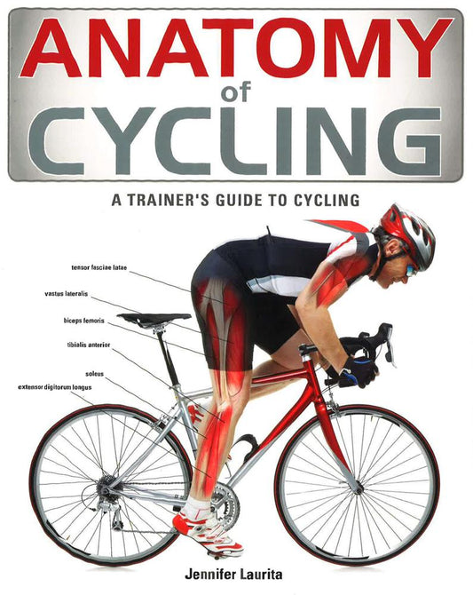 Anatomy Of Cycling