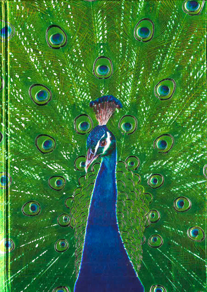 Peacock In Blue & Green (Foiled Journal)