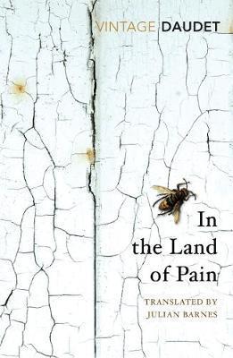 In The Land Of Pain