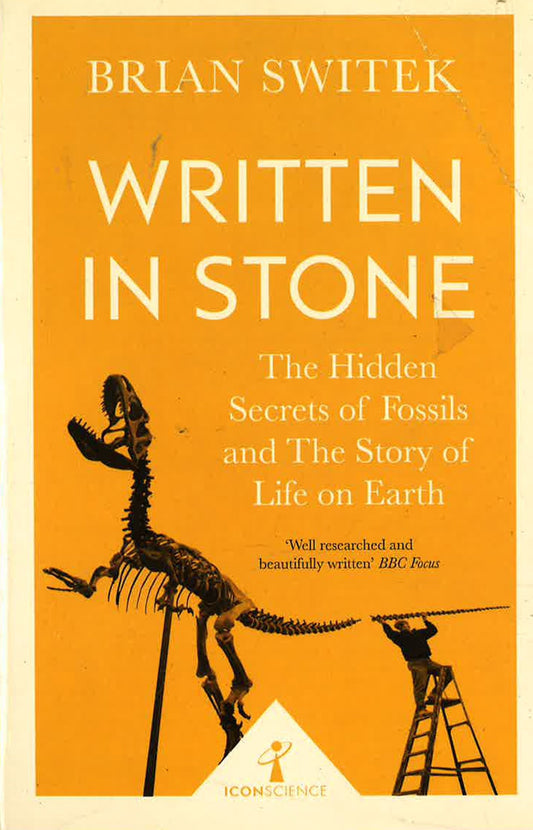 Written In Stone