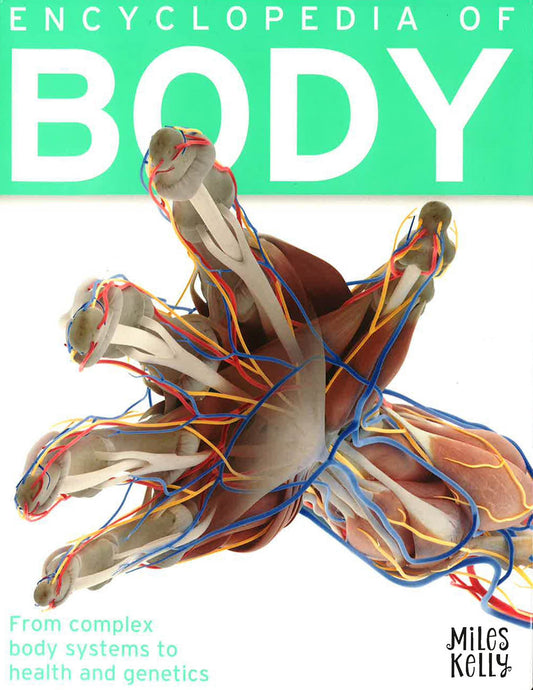 Encyclopedia Of Body
