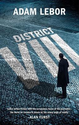 District Viii