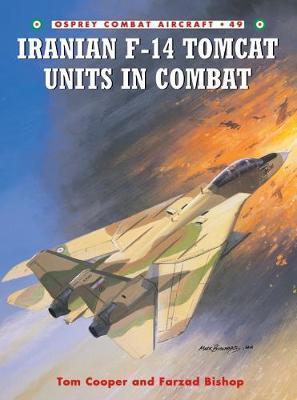 Iranian F-14 Tomcat Units In Combat
